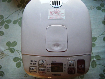potto2.jpg