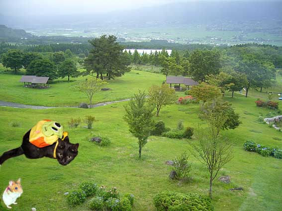 yosiokunn.jpg